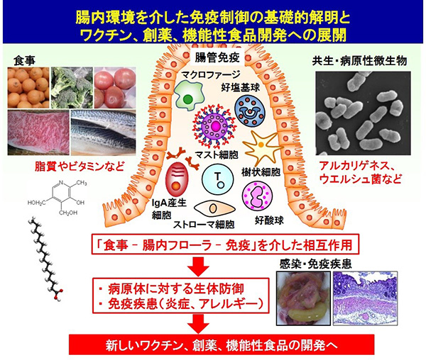 図