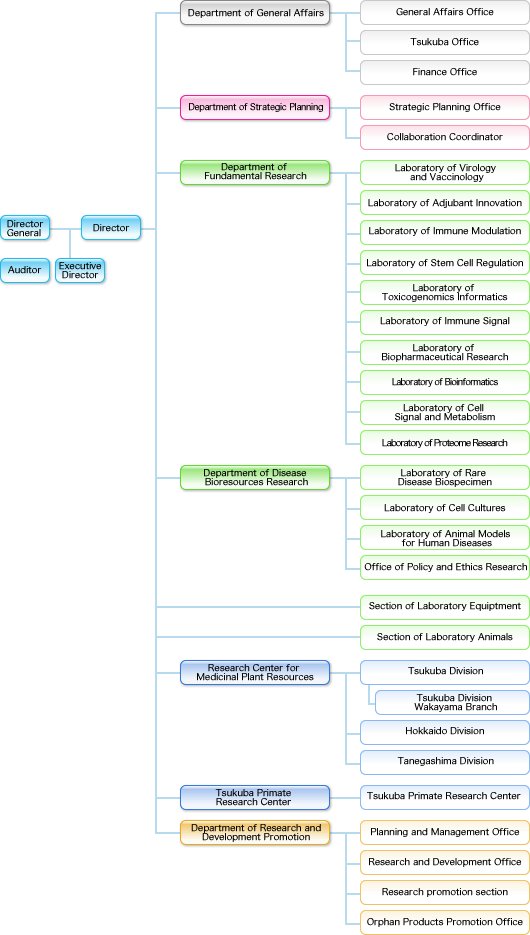 Organization chart