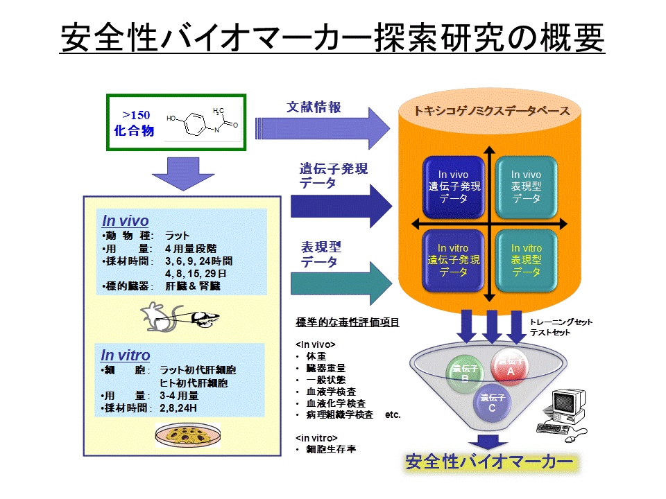 安全性バイオマーカー探索研究の概要